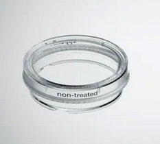 德國艾本德(Eppendorf)Cell Culture Dishes, 35 mm, 無菌、無熱原，無 RNase和DNase，無人類和細(xì)菌DNA。無細(xì)胞毒素, 未處理, 3.0mL, 300個(gè)