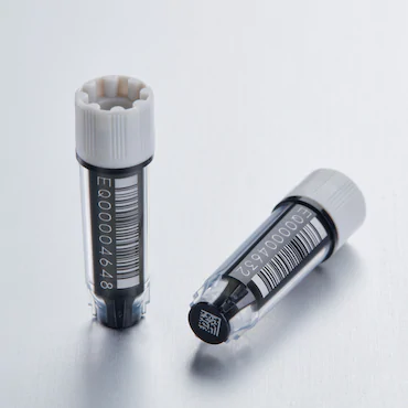 艾本德Eppendorf CryoStorage Vial，無菌, 無菌, 0.5 mL, 不含 DNase、RNase、人類 DNA 和內(nèi)毒素；外螺紋，預(yù)先加蓋灰色管蓋，帶 2D SafeCode 