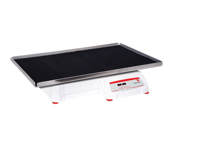 美國奧豪斯，OHAUS，脫色搖床，回旋振蕩器，圓周振蕩器，大負載圓周式搖床，SHHD6850DG